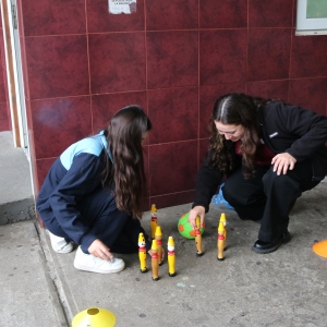 Día de la Actividad Física